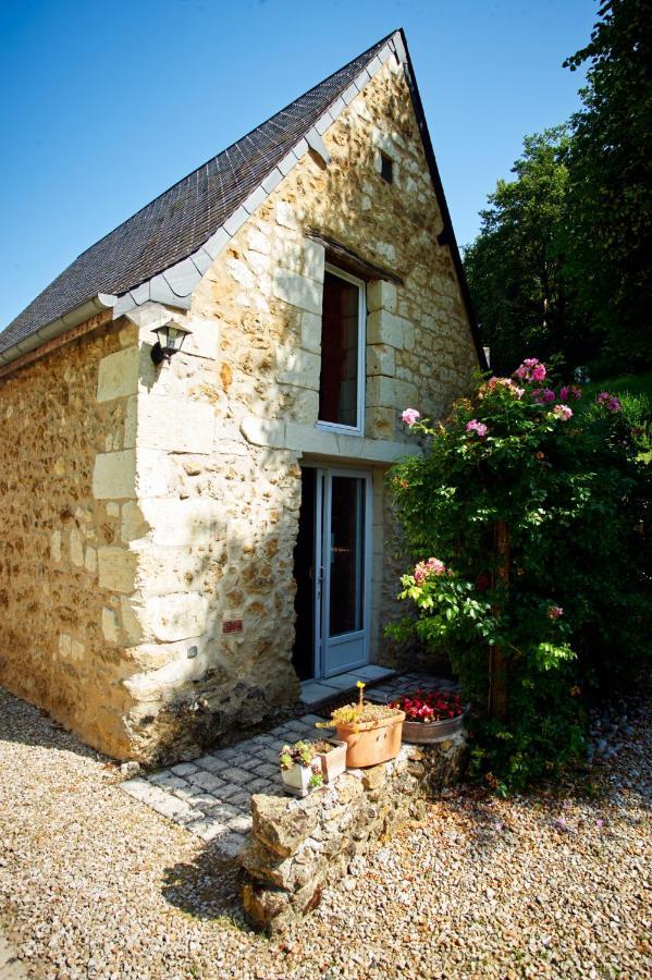 Domaine De La Juranvillerie, Gite Et Chambres D'Hotes Rigny-Ussé Zewnętrze zdjęcie