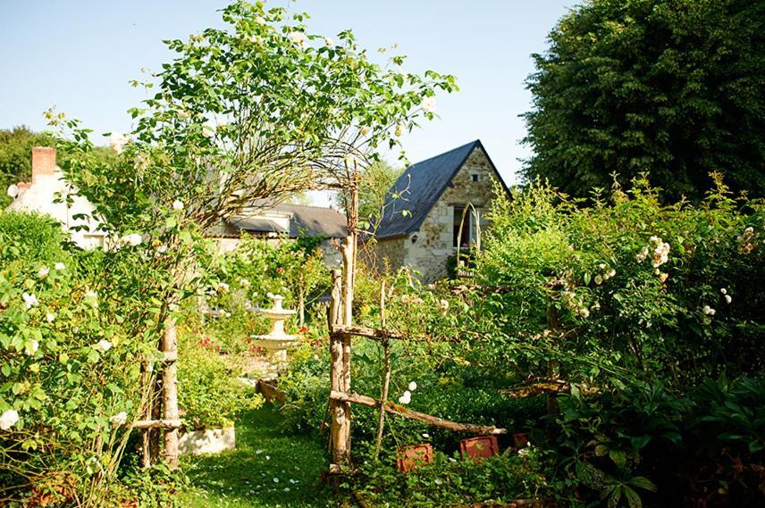 Domaine De La Juranvillerie, Gite Et Chambres D'Hotes Rigny-Ussé Zewnętrze zdjęcie