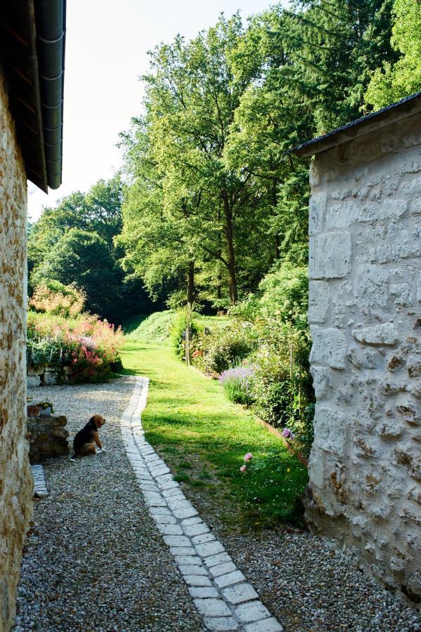 Domaine De La Juranvillerie, Gite Et Chambres D'Hotes Rigny-Ussé Zewnętrze zdjęcie